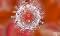 Розеоловирусът може да причини автоимунни заболявания като ревматоиден артрит и диабет тип 1