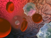 ������� ���� ���������� ����������