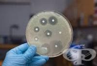 ����������� ����������� ������� ��������� ��������, ��������� ���-������ ���� ����