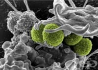 ��������� ������ ��������� �������� ��� ��-�����