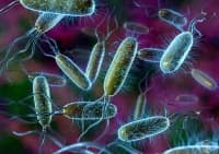 �� ��� �������� ������ ���-������� ���������� ���������� ��� �������������� � ���� �� ������ ��