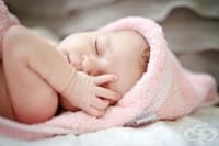 ������ ���� �� ���� �� �������� ����� 24 ������ �������