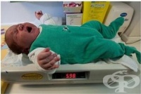 ��������������� ���� �� ���� ������������ � ������