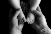 ���� �����, ���� ���� ����� �� ������ �� 11-�� ����