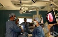 8-������� ���� � ����� �� ��������� � ����� ����� ������ � �������