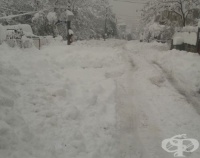 ��������� ������������ ����� �� ������� ��������������� ������ �� ���������������� �����