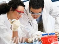 ���������� � ���������� ����� �� ����� �� �������� ���