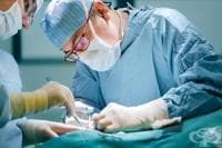 ��������� ����������, ����� ���� �� ������ �������� ������ �� �������� ���������