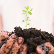 ��������� �� ����������� ����������� �� ���������� ������������