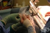 ����������� �������, ��������� ���, ����� ���� �� ���� �������� �� ����� ������ ����