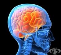 ����������� �� ������ ������� ��� ���� �� ���-������������ ��� �����