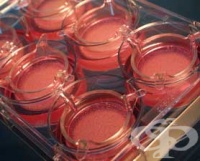 ������ ������������ ������� ����������