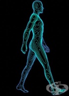 ��������� ���� �� ����� ����� ���� ���������� �� �������, �������������� � ��� ����