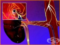 E����������� �������� �� ����������� �������� ���������� ���������� ��� ������� �� �������� � ����������� ����������