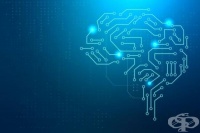 Проектът „Човешки мозък“: шест постижения на най-голямата европейска програма за неврология