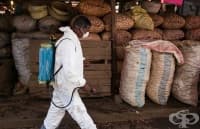 ��� 140 ���� �� �������� �� ���� � ����������