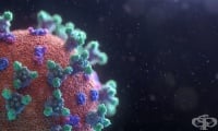 Омикрон настъпва – 55% от секвенираните проби отчитат новия вариант на COVID-19