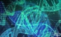 Дефектен протеин действа смъртоносно на бактериите подобно на антибиотиците