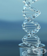 ��������� � ��� ���-�����, ������ ���� ��-����� �� �����������