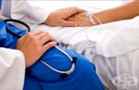 �� 2050 �. ��������� ������ �� ��� ��� 80 ������ ����� �� ��������, �������� �����