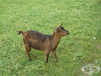 ������ ����� � ���������� �� ������� �� ������ �������� ������� � 5 ������ �� ��