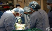 Швейцарците подкрепят предполагаемото съгласие при донорство на органи