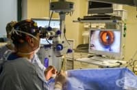 �-� �������� ���������: �������������� ���� �� ������� �� ��������� ������ ��� ��-��������������� � �������� ���� ����