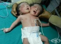 �������� ���� �� ���� � ���������