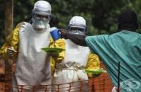 � ����� ����� �������� ���� ����� ����, ����� �� �����