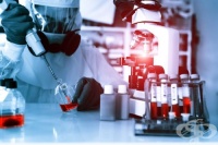 ����� ������ ���� ����� � �������