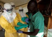 ����� ������ �� ������� � �������, ���������� ���������� ������� �����������