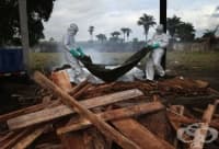 7 ������ �� �������� �� ����� �� �������