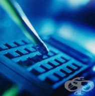 ���������� ���������� ����������� ��������� ��������� �� ����������