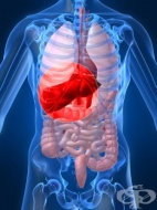 � �������� �� ���� ������� ����� ������� �