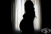 22 �������� �� ������������ ������� ������ ���������� ����������� ���������� ���� ���������� �� ��������� �����