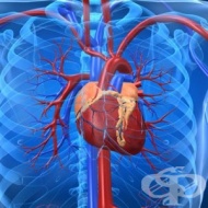 �������� � �� ����� ����� � ������ �� ����������� �� �������