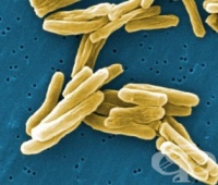 ������� ��������� ������, ������� �� ������