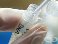 � �������� ������ ��������� ����������� �� �����������