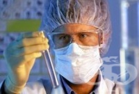 �������� ��������� ������ - �����