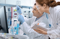     -     6 000     100% 