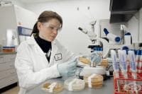 ����� ����������� ����������� ������������� ���������