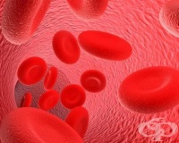 ������� ����� �� ������� �� ��������� �