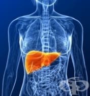 ����. ������� ������: ����� 100 000 � 150 000 ������� �� ����� �� ������� �