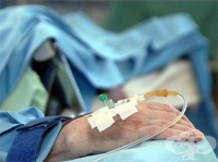 ������� ���������� ��������� ������ �� ��������������