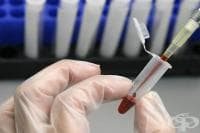 16 ���� ������ �� ��� �� �������� �� 2016 ������