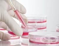 ������� ����� ��������?