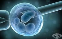 ������ ���� ������� �� ����������� �� ����������