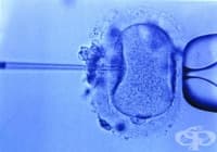 ������� � ����� ������, ��������� ������ �� ����� ��������, � ��������������