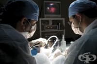 �������� ���� �� "�������" ���� �� ����������