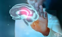 Лекарството срещу епилепсия gabapentin засилва функционалното възстановяване след инсулт